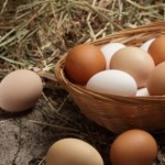 5 أطعمة تحتوي على بروتين أكثر من البيض.. تعرفوا إليها