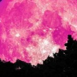 ظاهرة القمر الوردي في ليالي 15 و16 و 17 نيسان الجاري
