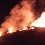 إخماد حريق اندلع في أحراج قرية بيت الجبل بريف طرطوس