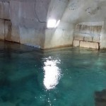 مياه دمشق: العكارة في المياه طبيعية وغير مؤذية