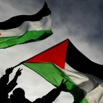 بسبب فلسطين.. أزمة دبلوماسية بين بلجيكا وإسرائيل