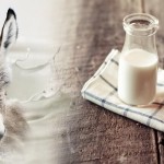 خصائص غير شائعة لحليب الحمير
