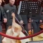 تعثرت بفستانها خلال الدبكة وسقطت.. موقف محرج لنجوى كرم! 