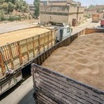سوريا تواجه شبح أزمة غذاء تاريخية مع تفاقم الجفاف وتراجع إنتاج القمح