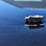 إصابة فريق حماية نائب الرئيس الأمريكي بقذيفة مدفعية