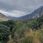 الطقس.. الحرارة للانخفاض في معظم المناطق السورية والجو مائل للبرودة ليلاً