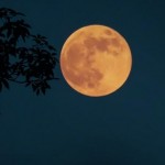 القمر العملاق يضيء سماء سوريا الليلة.. الجمعية الفلكية: تأثير طفيف على المد والجزر