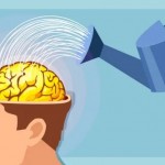 الشرود الذهني قد يكون بمثابة دورة تنظيف للدماغ
