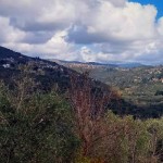 الطقس.. منخفض جوي يؤثر على عموم المناطق السورية