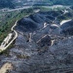 إخماد حريق بقرية باشورة في اللاذقية بعد عشر ساعات من العمل المتواصل