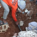 العثور على 4 مقابر جماعية في حمص بسوريا