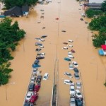 فيضانات تايلند.. الهروب فوق أسلاك الكهرباء وثعابين تسبح في الشوارع