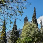 الطقس.. الحرارة أعلى من معدلاتها.. أجواءٌ خريفية مستقرة ورياح في المرتفعات الساحلية