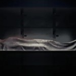 فشل في اغتصابها فقطعها لأشلاء.. جريمة تهز القلوب