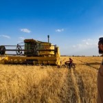 رويترز: شركة تجارة حبوب روسية تقاضي مؤسسة حكومية سورية