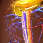 اكتشاف واعد قد يوقف السكري قبل بدايته