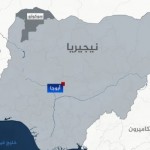 نيجيريا تؤكد توفير مساعدة استخباراتية للغارات الأميركية على مواقع لتنظيم الدولة