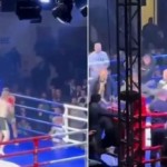 بالفيديو.. شجار جماعي داخل حلبة ملاكمة في صربيا