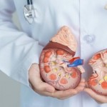 لماذا يعاني مرضى الكلى المتقدم من اضطرابات هضمية خطيرة؟