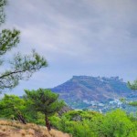 الطقس مشمس مستقر في عموم سوريا والحرارة أعلى من معدلاتها