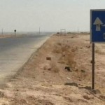 محافظة دير الزور تدعو الموظفين إلى البقاء على رأس عملهم