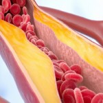 نوع من الدهون في الجسم يساعد على ضبط ضغط الدم