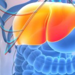 طريقة بسيطة للوقاية من مرض الكبد الدهني