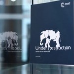 مؤتمر ميونخ للأمن: واشنطن تنتقل من حماية النظام العالمي إلى تفكيكه