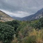 منخفض جوي جديد يضرب سوريا وتحذيرات من أمطار غزيرة ورياح شديدة وسيول محتملة