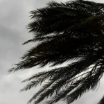 رياح عاتية وأمطار غزيرة تجتاح عاصمة نيوزيلندا وتشل الطيران