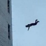 أغمي عليه فسقط من الشرفة.. تفاصيل وفاة كاهن 