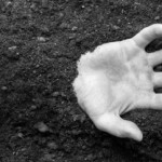 جريمة مروعة.. خرج من مقبرة وقتل 3 أشخاص