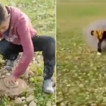 مقاطع صادمة لأطفال يعبثون بالألغام في سوريا 