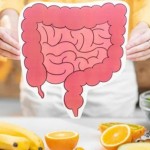 بروتين في الأمعاء يحاصر البكتيريا ويعزز الدفاعات الطبيعية