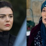 دانا مارديني تشعل مواقع التواصل برد ساخر.. ما علاقة منى واصف؟