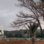 الطقس.. الحرارة أدنى من معدلاتها في عموم سوريا وأمطار متوقعة في بعض المناطق 