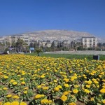 الطقس.. الحرارة أعلى من معدلاتها وهطولات مطرية محتملة في عدة مناطق سورية