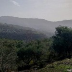 الطقس.. أجواء ربيعية دافئة إلى حارة وسديمية في بعض المناطق السورية