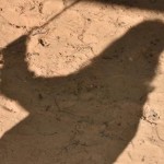 اغتصاب جماعي لقاصر يصدم العالم.. ودعوات لتنفيذ الإعدام