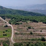 الطقس.. الحرارة أعلى من معدلاتها والجو خريفي غائم جزئياً بمعظم مناطق سوريا